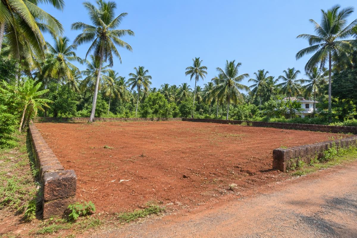 10 Cents Plot in Vellimadukunnu